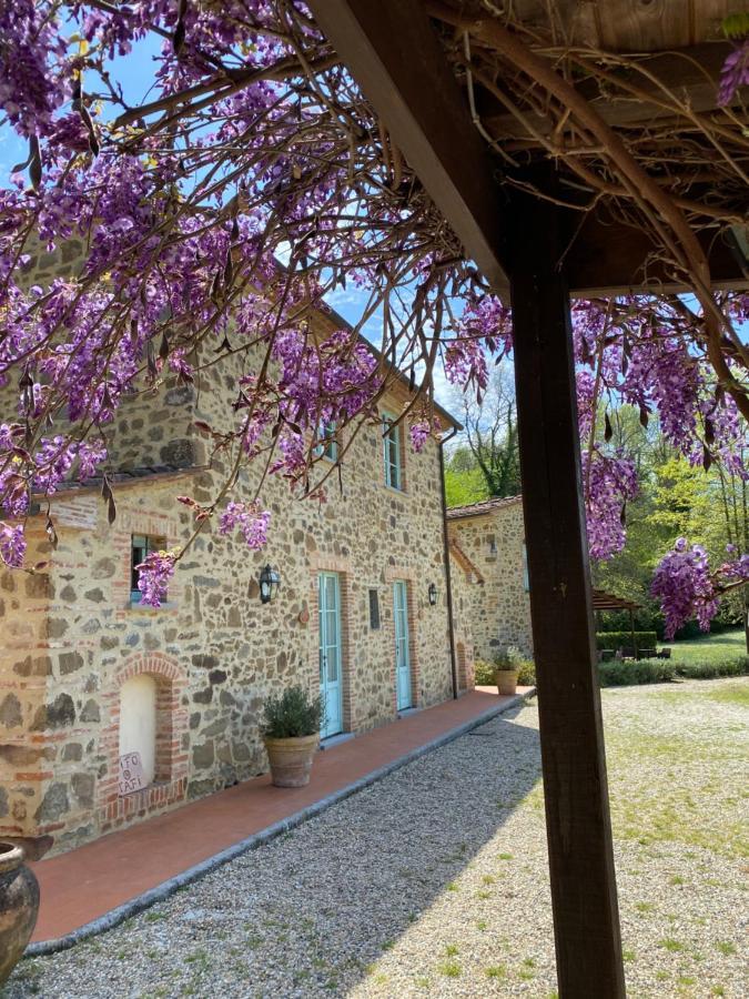 Гостевой дом Il Borghetto Andrea Tafi Лампореккьо Экстерьер фото