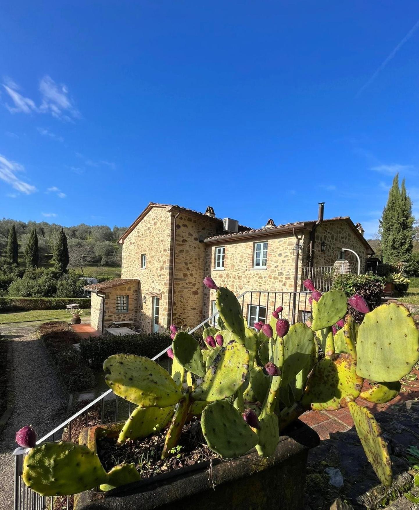 Гостевой дом Il Borghetto Andrea Tafi Лампореккьо Экстерьер фото